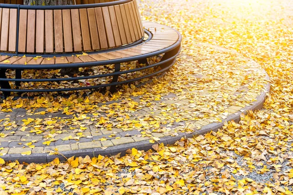 Banco moderno en forma de círculo de madera instalado alrededor del árbol en el parque de la ciudad o calle cubierta de hojas caídas de color amarillo y dorado brillante en otoño. Tranquilo hermoso otoño escena fondo — Foto de Stock