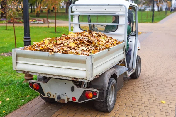 Small electric truck removing fallen leaves in body at autumn city park. Municipal urban services using ecology green vehicle lorry to clean streets from foliage