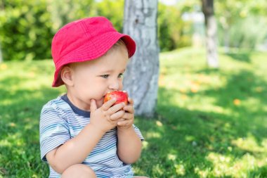 Yeşil çim üzerinde oturan ve ağaçlar altında meyve bahçesinde olgun sulu organik elma yeme mutlu sevimli sevimli Toddler çocuk portre. Eğlenceli beyaz sarışın çocuk meyve bahçesinde hasat zevk