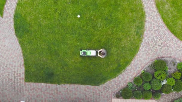 Aerial drone view of worker mowing green grass lawn with motorized or electric mower machine tool . Round shaped lawn. Landscaping and gardening service — Stock Video