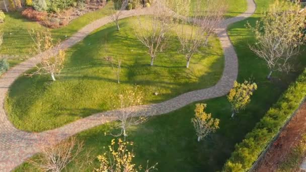 Aerial Drone utsikt över Backyard Fruit Garden med Circle Stone Path, gröna gräsmatta kullar och träd. Landskapsplanering och trädgårdsskötsel. Vackra höst parkens landskap — Stockvideo