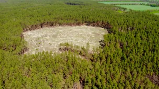 Vzdušný pohled na velký prázdný dutý vnitřek jehličnatého borového lesa v důsledku ilegální odlesňování. Klimatické změny nebezpečí katastrofy. Zdroje na zemi enormní využití — Stock video