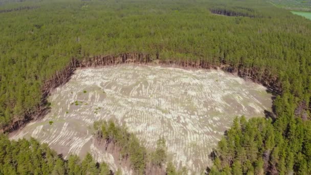 Luchtfoto drone uitzicht van grote lege hol binnen naald dennenbos als gevolg van illegale ontbossing. Klimaatverandering ramp gevaar. Earth-bronnen enorm gebruik — Stockvideo