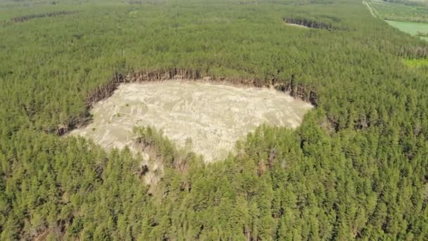 Vzdušný pohled na velký prázdný dutý vnitřek jehličnatého borového lesa v důsledku ilegální odlesňování. Klimatické změny nebezpečí katastrofy. Zdroje na zemi enormní využití — Stock video