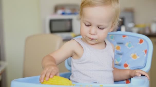 Χαριτωμένο αξιολάτρευτο Καυκάσιος ξανθός αγόρι κάθεται σε καρεκλάκι στην κουζίνα και να απολαύσετε την κατανάλωση νόστιμο γλυκό βραστό καλαμπόκι. Καλή ιδέα για την παιδική ηλικία και τα υγιή παιδιά — Αρχείο Βίντεο