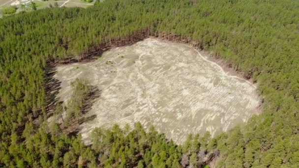 Vista aérea de drones del gran hueco vacío dentro del bosque de pinos de coníferas debido a la deforestación ilegal. Cambio climático peligro de desastre. Recursos de la Tierra enorme uso — Vídeos de Stock