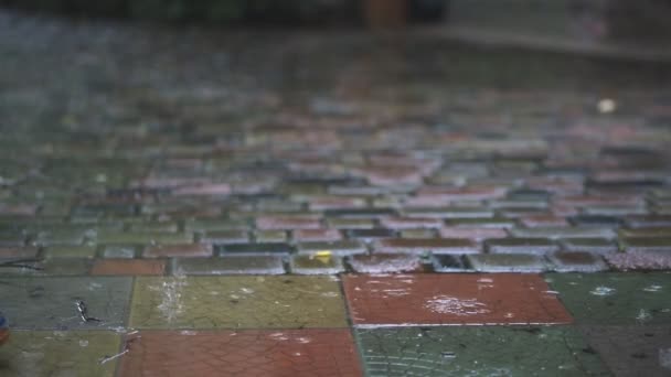 Persona caminando en botas de lluvia azul oscuro en camino pavimentado en el patio trasero, calle de la ciudad o parque durante la lluvia pesada de otoño. Pronóstico del tiempo lluvioso otoño pintoresco — Vídeos de Stock