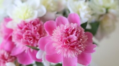 Bir buket taze, büyük mercan pembe, beyaz ve kremalı şakayık. Kapalı alanda cam kavanozda. Cam sehpanın üzerinde narin bahar çiçekleri olan vazo.