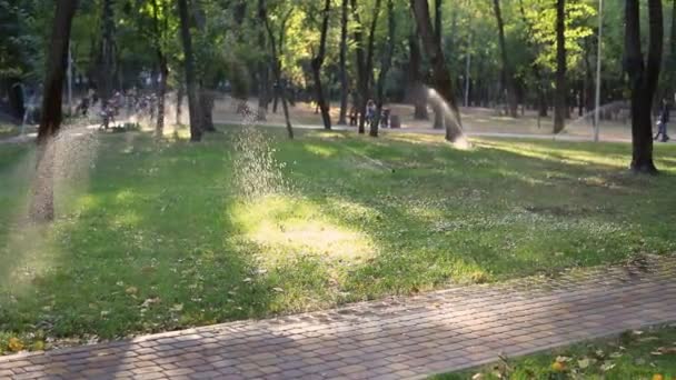 Automatic irrigation system with many different sprinklers watering city park and green grass lawn during hot autumn evening. Garden and turf care and maintenance. Gardening design and equipment — ストック動画