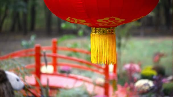 Tradicional papel chino rojo colgado linterna meciéndose en el viento con puente de madera roja y jardín de diseño paisajismo asiático en el fondo — Vídeo de stock
