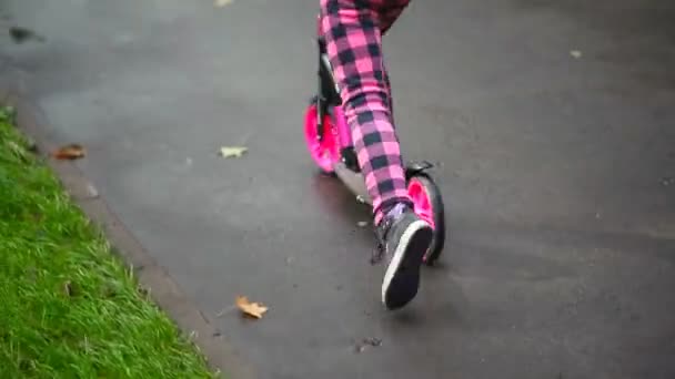 Cute little preschooler caucasian girl in pink casual clothes having fun riding kick scooter at city park by wet asphalt sidewalk after rain at autumn or spring . Child having fun outdoors — ストック動画