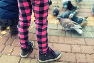 İki küçük kardeş, soğuk sonbahar gününde şehir parkında güvercinleri beslerken eğleniyorlar. Bir çift çocuk, erkek kardeş ve kız kardeş kasaba sokaklarında kuşlara ekmek ve tohum veriyor.