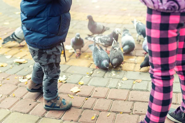 Dos hermanos pequeños niños se divierten alimentando a muchas palomas en el parque de la ciudad en el frío día de otoño. Pareja de niños, hermanos y hermanas dando pan a los pájaros y semillas en la calle de la ciudad al aire libre — Foto de Stock