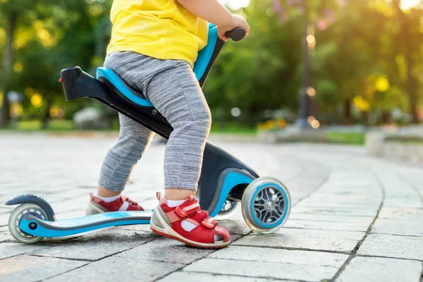 bottom part and legs of cute adorable little caucasian toddler boy in having fun riding three-wheeled balance run bike scooter in city park or forest. Child first bike. Kids outdoor sport activities