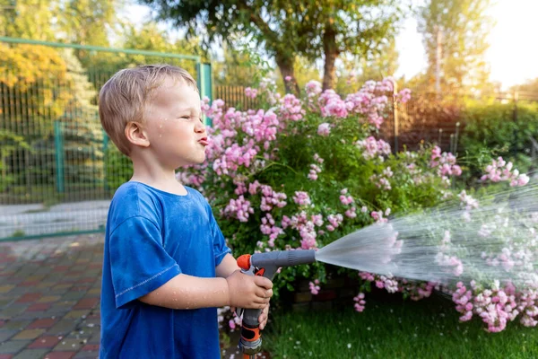 Cute adorable biały blond maluch chłopiec cieszyć się zabawy podlewania kwiat ogrodowy i trawnik z węża zraszacz w domu podwórku w słoneczny dzień. Dziecko mały pomocnik uczyć się ogrodnictwa w lecie na świeżym powietrzu — Zdjęcie stockowe