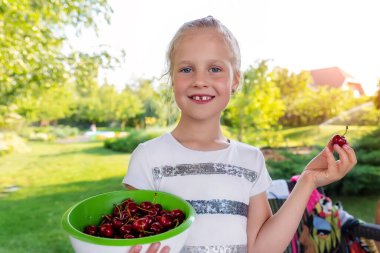 Şirin, sevimli, beyaz, sarışın, küçük okul kızı güneşli yaz gününde bahçedeki bahçedeki yeşil kasede sağlıklı, olgun, sulu, koyu kırmızı kiraz yemekten hoşlanıyor. Çocuklar öğle yemeği için lezzetli atıştırmalıklar