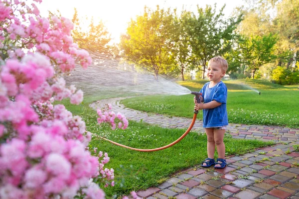 Bonito adorável caucasiano loiro criança menino desfrutar de ter diversão rega jardim flor e gramado com mangueira aspersor em casa quintal no dia ensolarado. Criança pequeno ajudante aprender jardinagem no verão ao ar livre — Fotografia de Stock