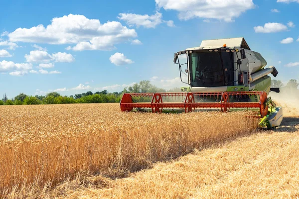 風景フロントビュー明るい夏や秋の日に黄金の熟した小麦のシリアルフィールドを読み取る収穫機を組み合わせた大きな強力な産業 農業用イエローフィールド機械景観の背景 — ストック写真