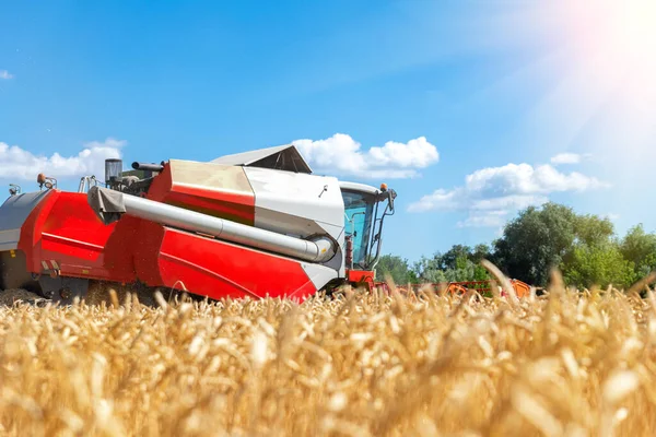 Aerial Drone Top View Red Powerful Industrial Combine Harvester Machine — Stock Photo, Image