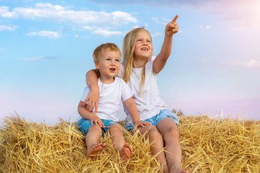 İki sevimli beyaz kardeş çiftliğin yakınındaki buğday tarlasında altın saman balyasının üstünde oturarak eğleniyor. Mutlu çocukluk ve özgürlük kavramı. Kırsal alan manzarası