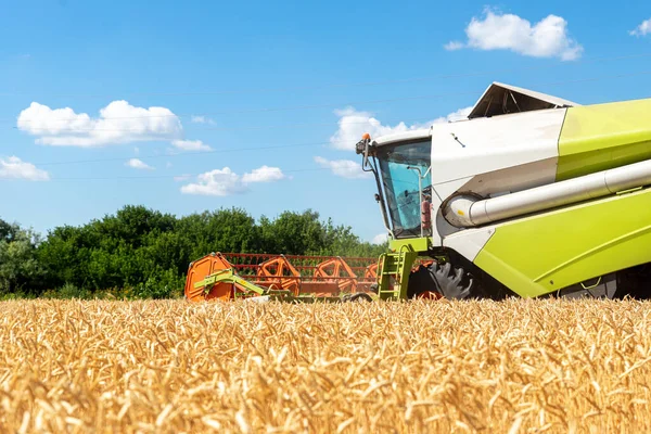 風景側のビュー明るい夏や秋の日に黄金の熟した小麦のシリアルフィールドを読み取る収穫機を組み合わせた大きな強力な産業。農業用イエローフィールド機械景観の背景 — ストック写真
