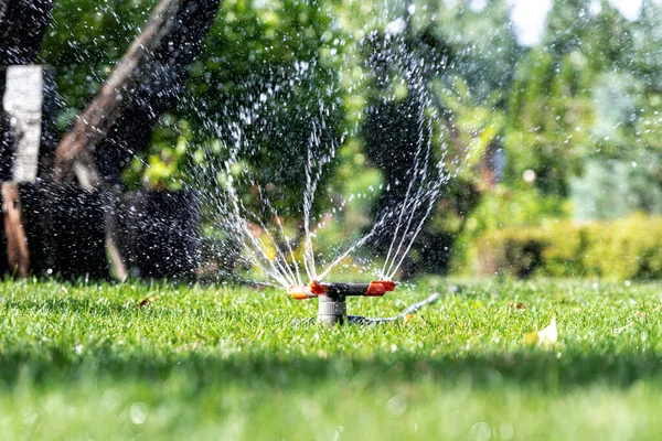 Automatisches Gartenbewässerungssystem mit verschiedenen rotierenden Sprinklern, die auf Rasen installiert sind. Landschaftsgestaltung mit Rasen und Obstgarten, die bei Sonnenuntergang mit intelligenten autonomen Sprühgeräten bewässert werden — Stockfoto