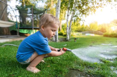 Şirin, sevimli, beyaz, sarışın çocuk güneşli bir günde evinin arka bahçesinde hortum fıskiyesiyle bahçe çiçeklerini ve çimenleri sularken eğleniyor. Küçük yardımcı çocuk bahçeciliği yazın açık havada öğreniyor.