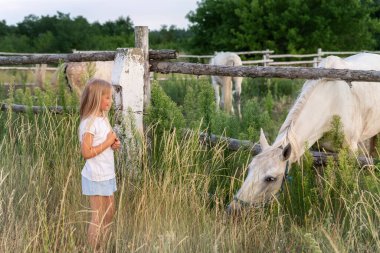Şirin, sevimli, sarışın, beyaz bir kız. Yazın çiftlikte ya da çiftlikte, ahşap çitlerin yanında güzel beyaz bir atla tanışır. Küçük dişi çocuk çayırda büyük kırsal bir yavruyu okşuyor.