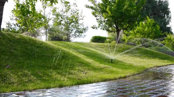 Sistema de riego automático del jardín del paisaje con diferentes aspersores instalados debajo del césped. Diseño de paisaje con colinas de césped y jardín frutal regado con pulverizadores autónomos inteligentes al atardecer — Vídeos de Stock