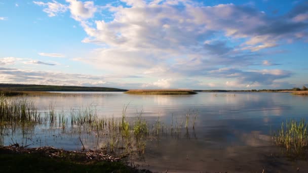 Dramático cielo azul noche tranquila puesta del sol sobre el campo de hierba seca en la orilla del lago estanque. Paisaje rural sereno reflejo de nubes ondulación superficie del agua — Vídeo de stock