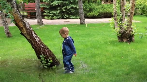 Pouco bonito brincalhão caucasiano criança loira menino desfrutar se divertir jogando salto em poça suja vestindo calças impermeáveis azuis e botas de chuva de borracha em casa jardim rua ao ar livre. Conceito de infância feliz — Vídeo de Stock