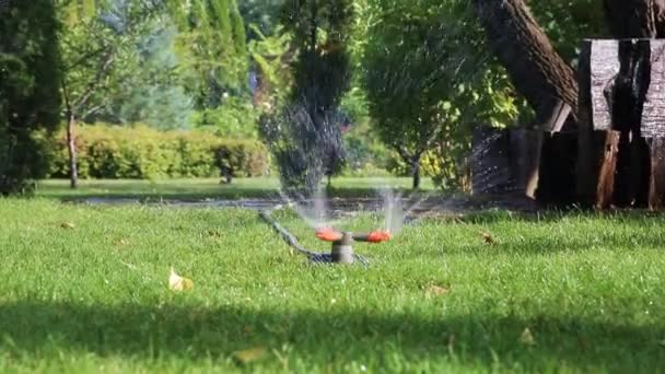 芝に設置された異なる回転スプリンクラーと景観自動庭園散水システム。日没時にスマート自律噴霧器で灌漑芝生や果物の庭と造園デザイン — ストック動画
