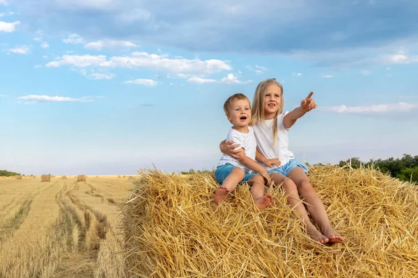 Dva Roztomilí Kavkazští Sourozenci Baví Tím Sedí Zlatém Balíku Sena — Stock fotografie