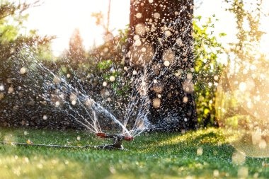 Çevreye farklı dönen fıskiyeler takılı bahçe sulama sistemi. Çimenlik ve meyve bahçeli peyzaj tasarımı gün batımında akıllı özerk spreylerle sulanır..