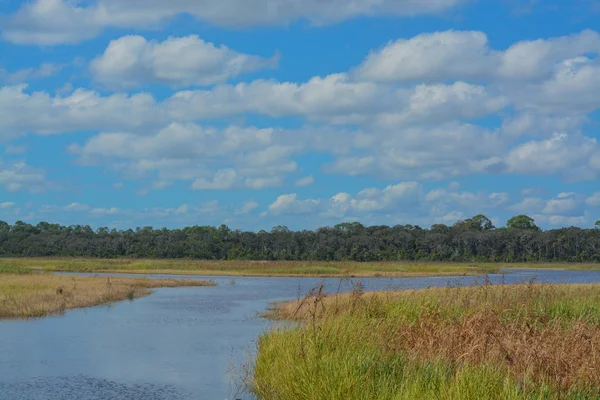 Guana River Wildlife Management Area Florida — Stock Photo, Image