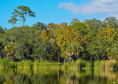 Göl Seminole, Seminole, Florida güzel manzaraya