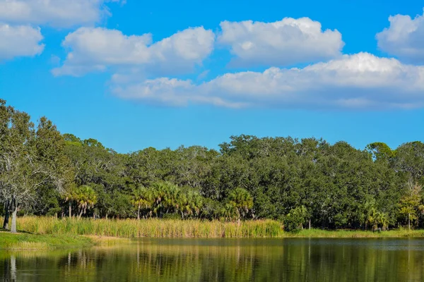 Krásný Výhled Jezero Seminole Seminole Florida — Stock fotografie