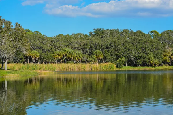 Piękny Widok Jezioro Seminole Seminole Florida — Zdjęcie stockowe