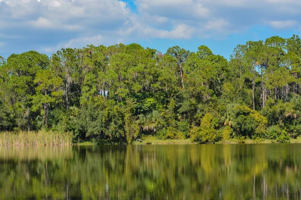 Beautiful View Lake Seminole Seminole Florida Stock Picture