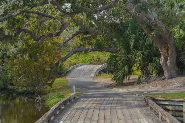 Ponte Legno Vicino Amelia Plantation Nella Contea Nassau Florida — Foto Stock