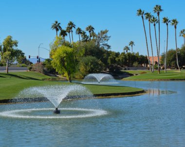 Su çeşmeleri ve palmiye ağaçları Maricopa County, Glendale, Arizona.