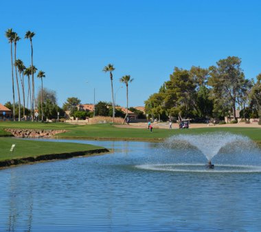 Su çeşmeleri ve palmiye ağaçları Maricopa County, Glendale, Arizona.