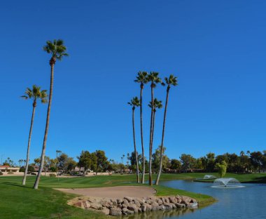Su çeşmeleri ve palmiye ağaçları Maricopa County, Glendale, Arizona.