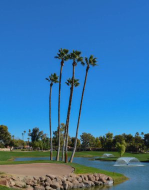 Su çeşmeleri ve palmiye ağaçları Maricopa County, Glendale, Arizona.