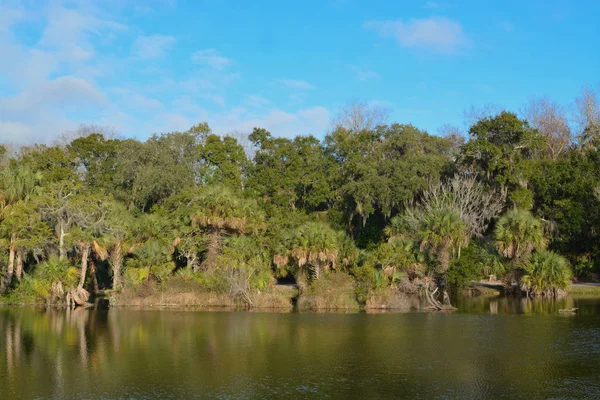 Reflection Shoreline Kathryn Abbey Hanna Park Duval County Jacksonville Florida — Stock Photo, Image