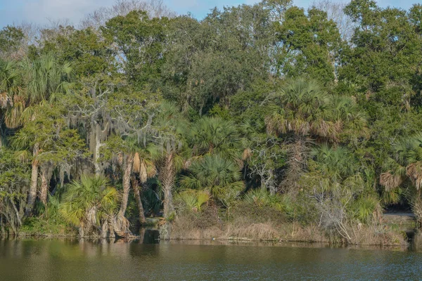 Reflection Shoreline Kathryn Abbey Hanna Park Duval County Jacksonville Florida — Stock Photo, Image