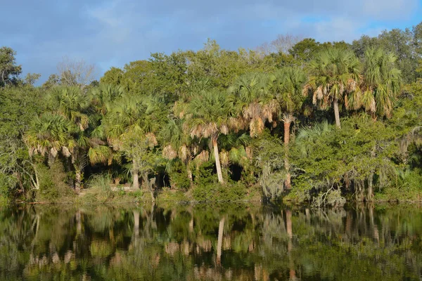 Reflection Shoreline Kathryn Abbey Hanna Park Duval County Jacksonville Florida — Stock Photo, Image