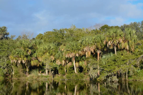 佛罗里达州杰克逊维尔杜瓦尔县凯瑟琳修道院汉娜公园海岸线的反思 — 图库照片