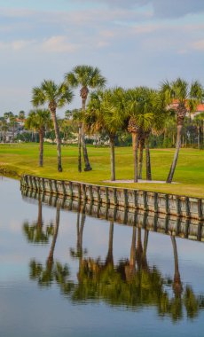 Vedra Gölü 'ndeki palmiye ağaçları. Ponte Vedra Plajı, Florida