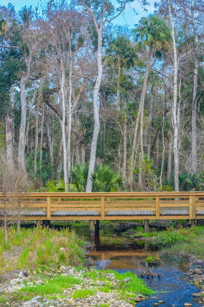 Corriente Que Fluye Bajo Pasarela Nocatee Condado Johns Florida —  Fotos de Stock